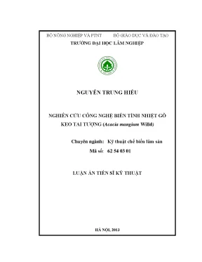 Nghiên Cứu Công Nghệ Biến Tính Nhiệt Gỗ Keo Tai Tượng