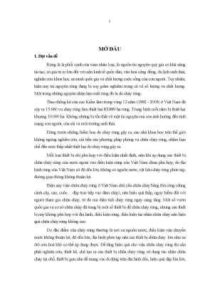 Nghiên cứu thiết bị chữa cháy rừng sử dụng không khí tại