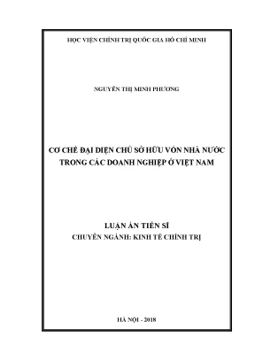 Cơ Chế Đại Diện Chủ Sở Hữu Vốn Nhà Nước Trong Doanh