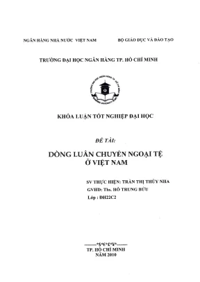 Nghiên Cứu Dòng Luân Chuyển Ngoại Tệ Tại Việt Nam