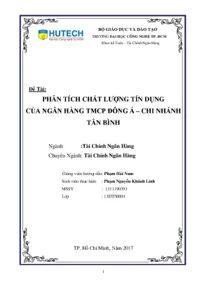 Phân Tích Chất Lượng Tín Dụng Ngân Hàng TMCP Đông Á Tân Bình