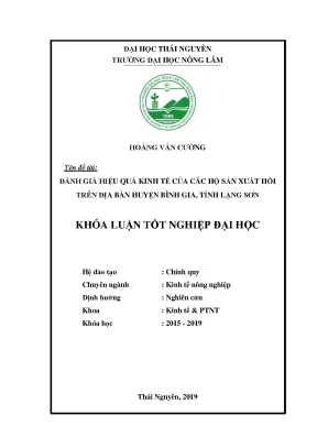Đánh Giá Hiệu Quả Kinh Tế Của Các Hộ Sản Xuất Hồi Tại