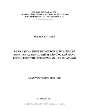 Nghiên cứu gen ZmNF-YB2 và ZmNAC1 giúp cây ngô chống hạn