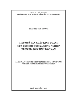 Hiệu Quả Sản Xuất Kinh Doanh Của Hợp Tác Xã Nông Nghiệp 