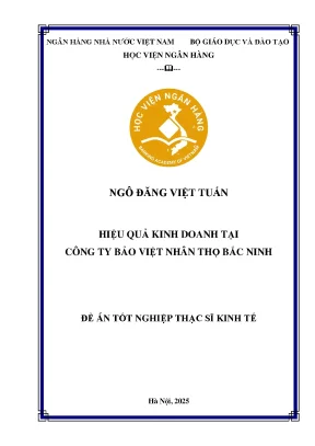 Nâng Cao Hiệu Quả Kinh Doanh Tại Công Ty Bảo Việt Nhân