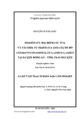 Nghiên cứu về Dẻ Đỏ và Tái sinh tự nhiên tại Thái Nguyên