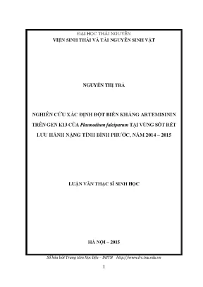 Nghiên Cứu Đột Biến Kháng Artemisinin Trên Gen K13 Của