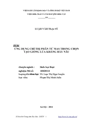Nghiên cứu về sự phát triển của lúa gạo tại Việt Nam
