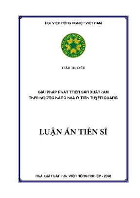 Giải Pháp Phát Triển Sản Xuất Hàng Hóa Tại Tỉnh Tuần Quang