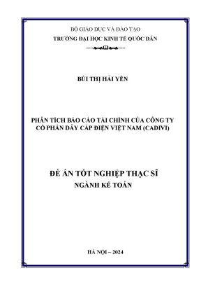 Phân Tích Báo Cáo Tài Chính Công Ty Cổ Phần Dây Cáp Điện