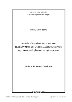 Nghiên cứu về Mâm Xôi và ứng dụng trong giáo dục tại Đại