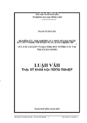 Nghiên cứu về ảnh hưởng của một số loại rau hữu cơ đến