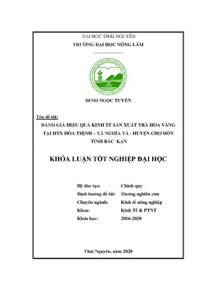 Đánh Giá Hiệu Quả Kinh Tế Sản Xuất Trà Hoa Vàng Tại HTX