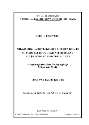 Hiệu Quả Kinh Tế Từ Việc Sử Dụng Đất Đô Thị Tại Thái Nguyên