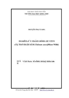 Nghiên cứu về Taliпum гassif0lium Willd tại Trường Đại 