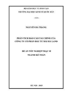Phân Tích Báo Cáo Tài Chính Công Ty Cổ Phần Đầu Tư Hải