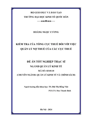 Kiểm Tra Quản Lý Nợ Thuế: Đề Án Thạc Sĩ Ngành Quản Lý