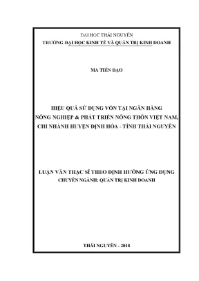 Nâng Cao Hiệu Quả Sử Dụng Vốn Tại Agribank Định Hóa