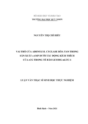 Vai trò của Adenylyl Cyclase Hòa Tan trong Sản Xuất cAMP