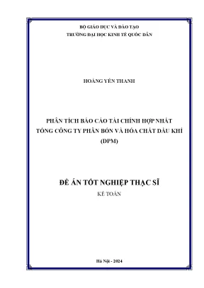 Phân Tích Báo Cáo Tài Chính Hợp Nhất Tổng Công Ty Phân 