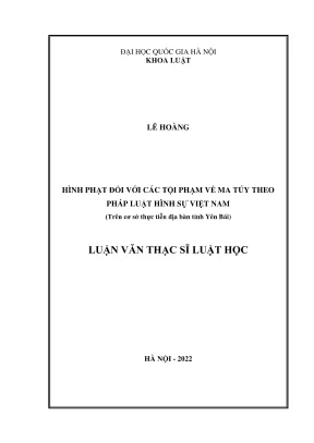 Hình Phạt Đối Với Tội Phạm Về Ma Túy Theo Pháp Luật Hình