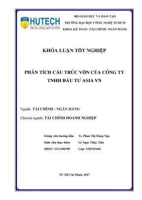 Phân Tích Cấu Trúc Vốn Của Công Ty TNHH Đầu Tư Asia VN