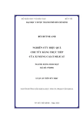 Nghiên Cứu Hiệu Quả Che Tủy Răng Trực Tiếp Bằng Xi Măng