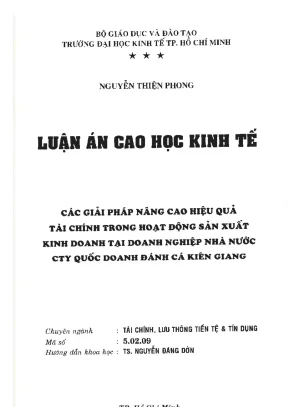 Giải Pháp Nâng Cao Hiệu Quả Tài Chính Trong Doanh Nghiệp