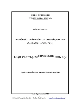 Nghiên cứu về Đại học Thái Nguyên và các chương trình