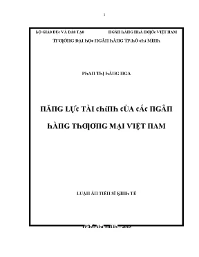 Năng Lực Tài Chính Của Ngân Hàng Thương Mại Việt Nam: 