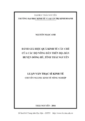 Đánh Giá Hiệu Quả Kinh Tế Cây Chè Tại Huyện Đồng Hỷ,