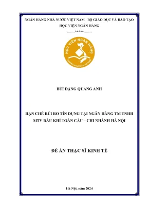 Giải Pháp Hạn Chế Rủi Ro Tín Dụng Tại Ngân Hàng TM TNHH