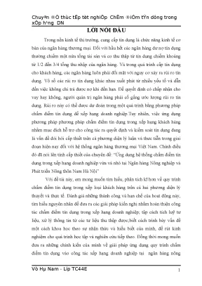 Ứng Dụng Hệ Thống Chấm Điểm Tín Dụng Trong Xếp Hạng 
