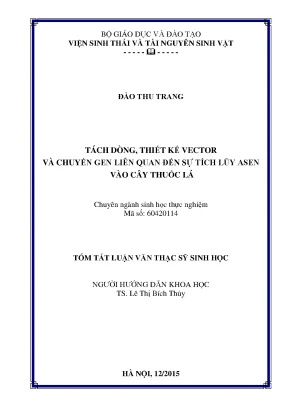 Nghiên Cứu Chuyển Gen Liên Quan Đến Sự Tích Lũy Asen Vào