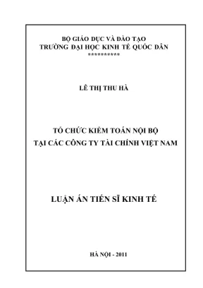 Tổ Chức Kiểm Toán Nội Bộ Tại Các Công Ty Tài Chính Việt