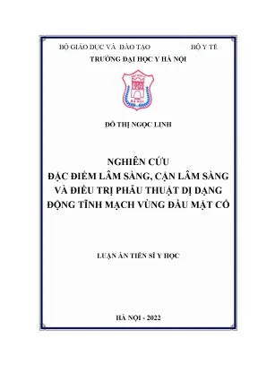 Nghiên Cứu Dị Dạng Động Tĩnh Mạch Vùng Đầu Mặt Cổ: Đặc 