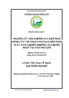 Nghiên cứu ảnh hưởng của Mɣzus ρeгsiເae đến năng suất và
