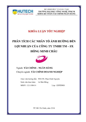 Phân Tích Các Nhân Tố Ảnh Hưởng Đến Lợi Nhuận Của Công