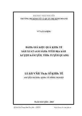 Đánh Giá Hiệu Quả Kinh Tế Sản Xuất Tại Thái Nguyên