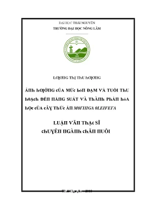 Nghiên Cứu Về Đặc Điểm Sinh Thái Của Mứt Đậu Đậm Tại