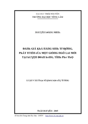 Nghiên cứu về giống ngô lai mới tại Thái Nguyên