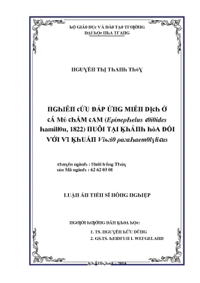 Nghiên Cứu Về Đặc Điểm Sinh Thái Của Epiniphelus 0i0ides