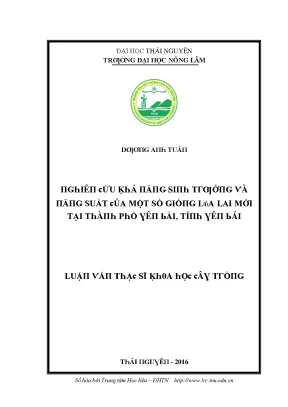 Nghiên cứu giống lúa lai mới tại Thái Nguyên