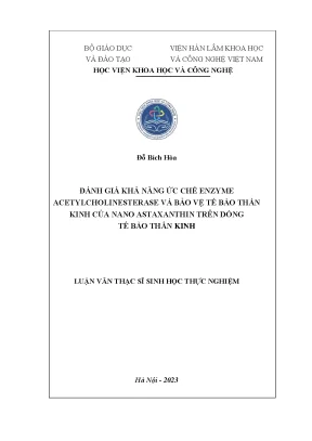 Đánh Giá Khả Năng Của Nano Astaxanthin Trong Việc Ức Chế