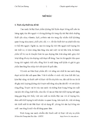Nghiên cứu sử dụng rau xà lách trong phòng trừ sâu hại