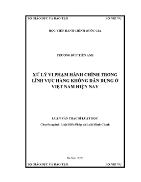 Xử Lý Vi Phạm Hành Chính Trong Lĩnh Vực Hàng Không Dân