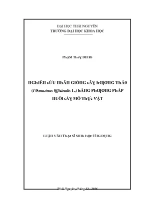 Nghiên Cứu Về Loài Thực Vật Gỗ Gai (Grosmarius 