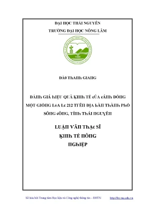 Hiệu Quả Kinh Tế Từ Đồ Gỗ Lúa Lê 212 Tại Thái Nguyên