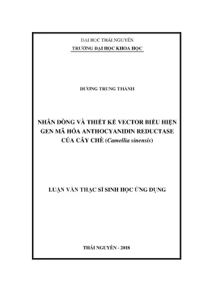 Nghiên Cứu Thiết Kế Vector Biểu Hiện Gen Anthocyanidin