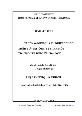 Hiệu Quả Sử Dụng Nguồn Nhân Lực Tại Đại Học Thái Nguyên